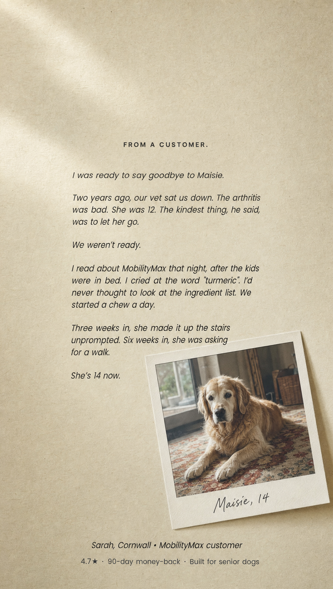Ad 02 · Founder Story · Last Hope