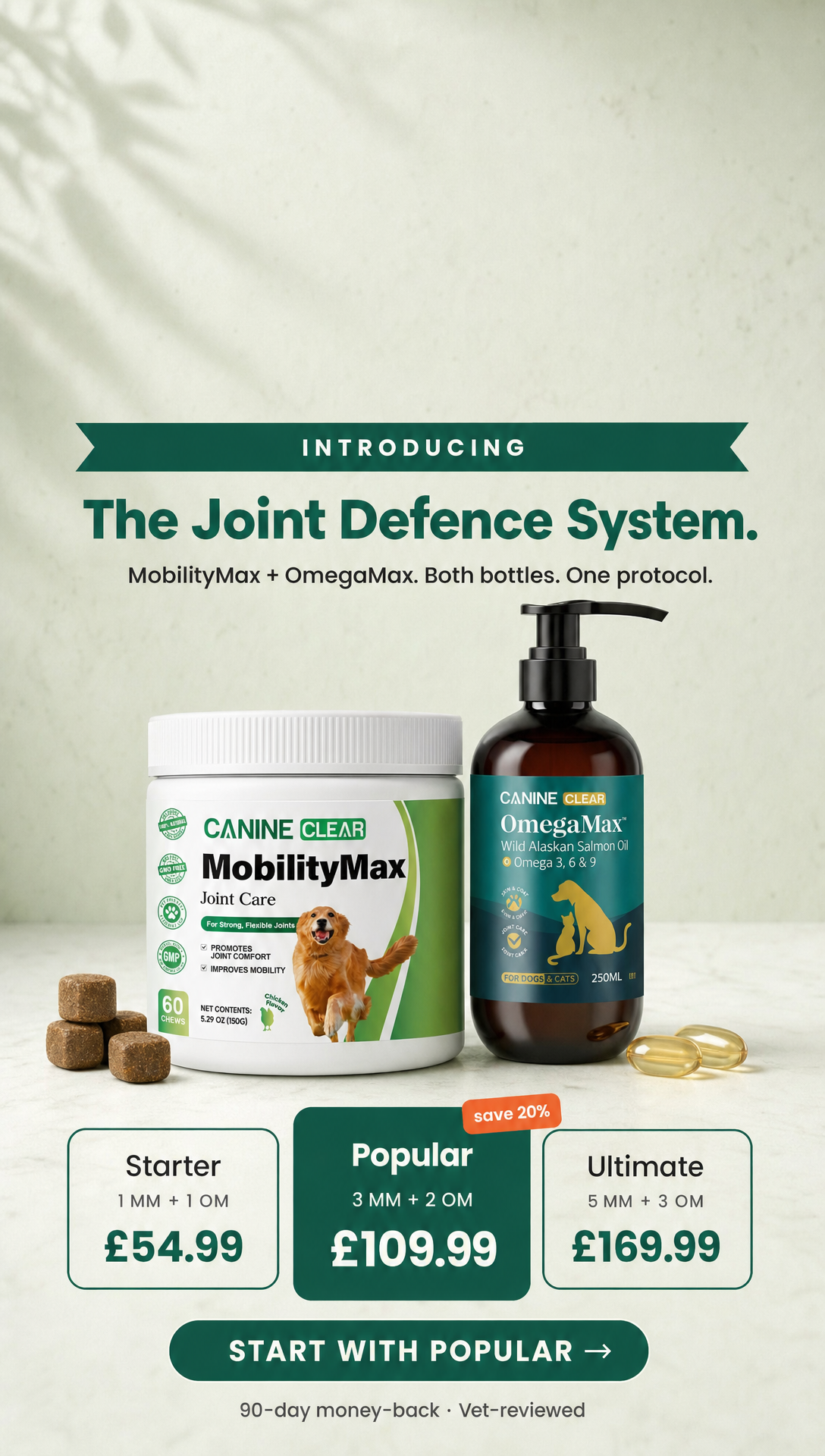 11. Joint Defence System launch