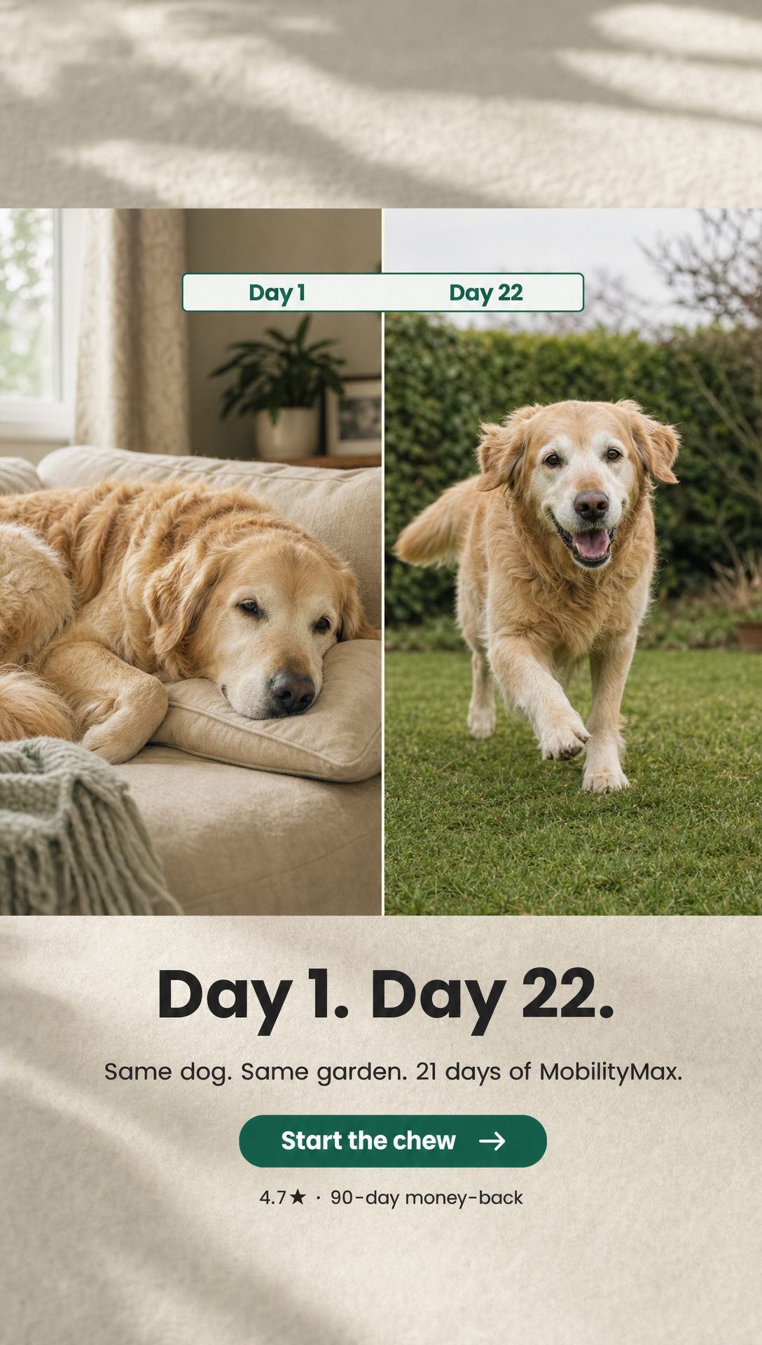 Ad 12 · Before/After · Day 1 to Day 22